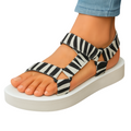 Zebra 2