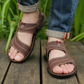 Braun