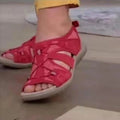 Rot