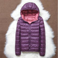 Lila/Pink